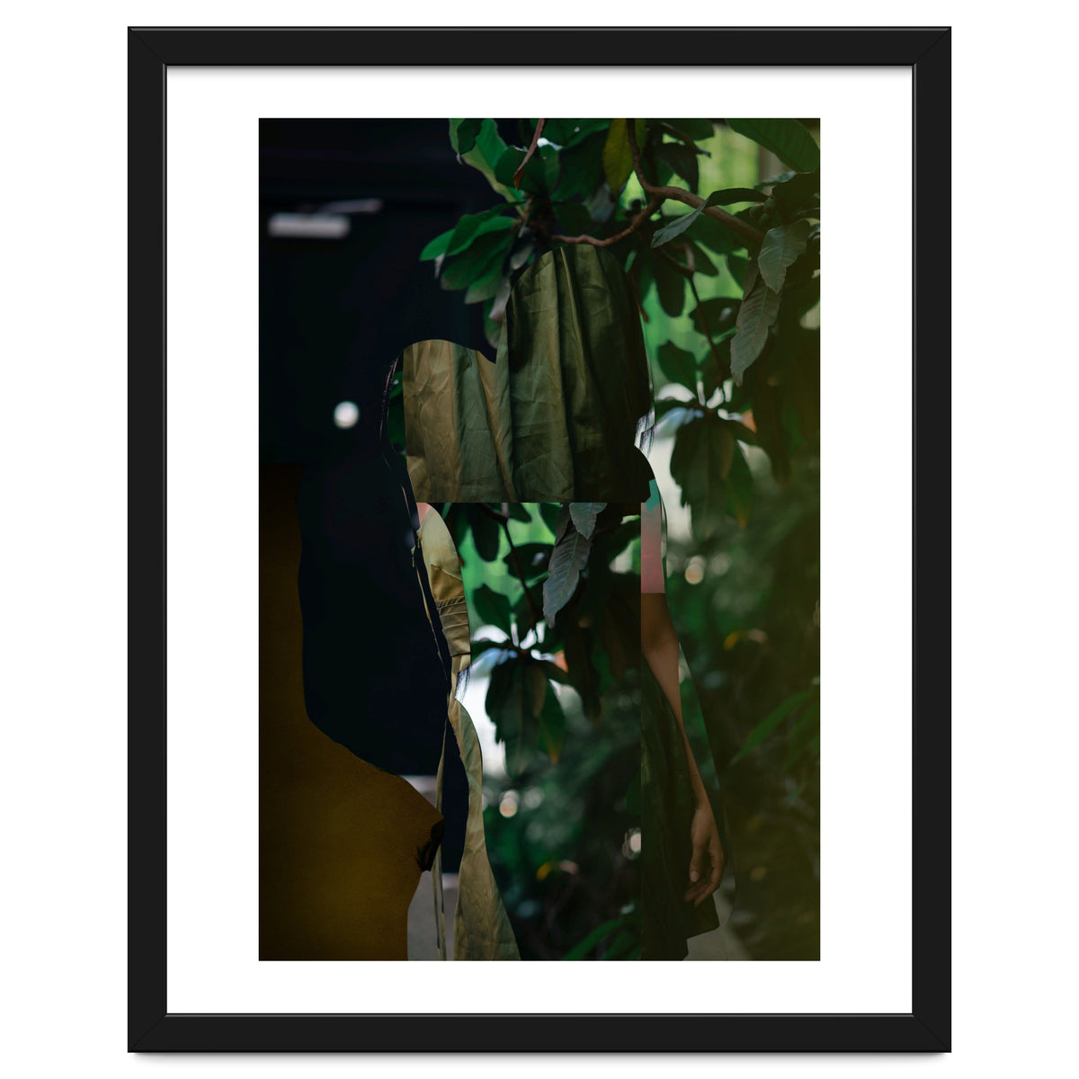 Disappeared Dreams 5