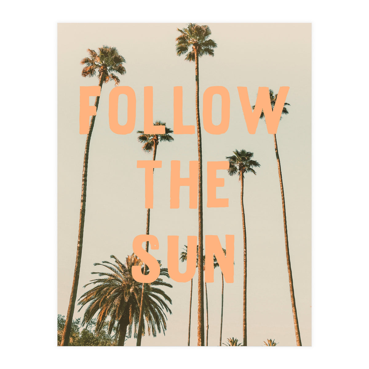 Follow The Sun (Print Only)