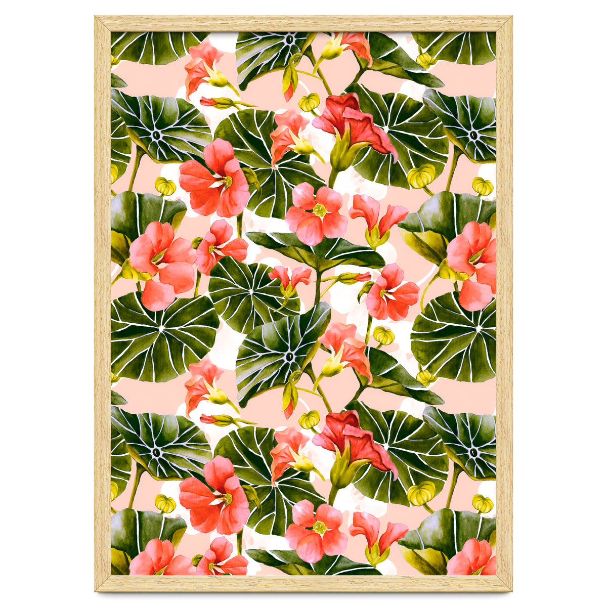 Nasturtiums watercolor 03