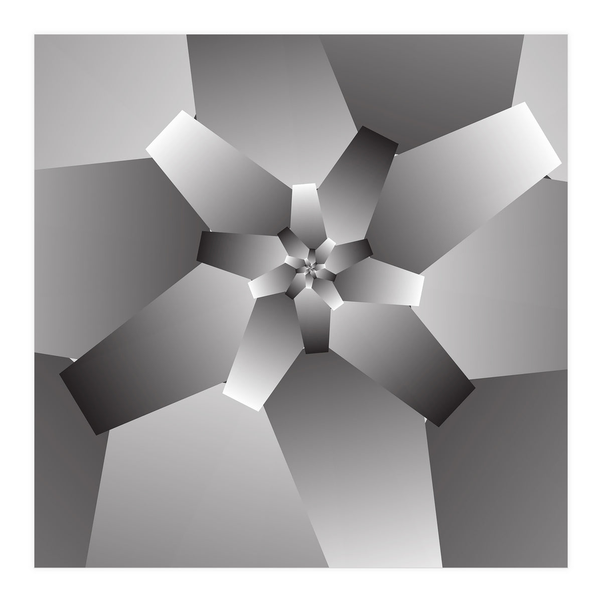 Monochrome Flower  (Print Only)