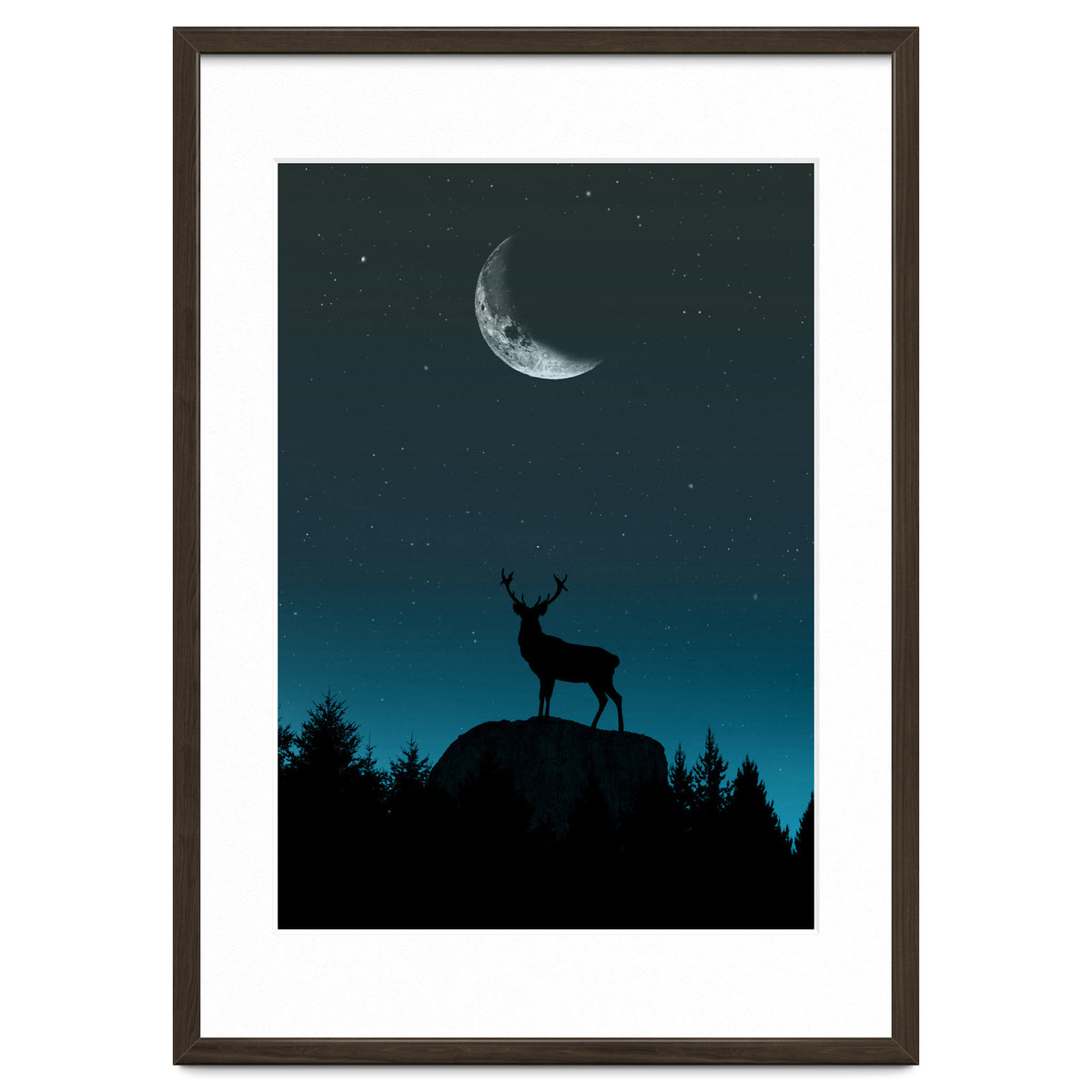 Wild Nature - Nocturne