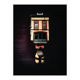 VooDooTooL -  Bosoluda (Print Only) thumbnail