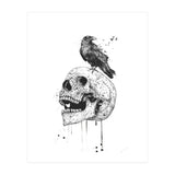 New Skull (bw) (Print Only) thumbnail