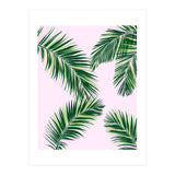 Palmfrond (Print Only) thumbnail