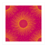 Sunflower (Print Only) thumbnail