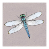 Blue dragonfly (Print Only) thumbnail