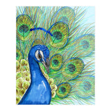 Peacock portrait (Print Only) thumbnail