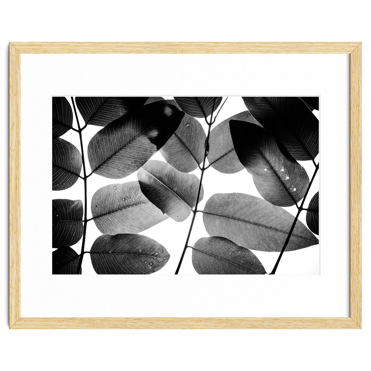 Experiments with Leaves II