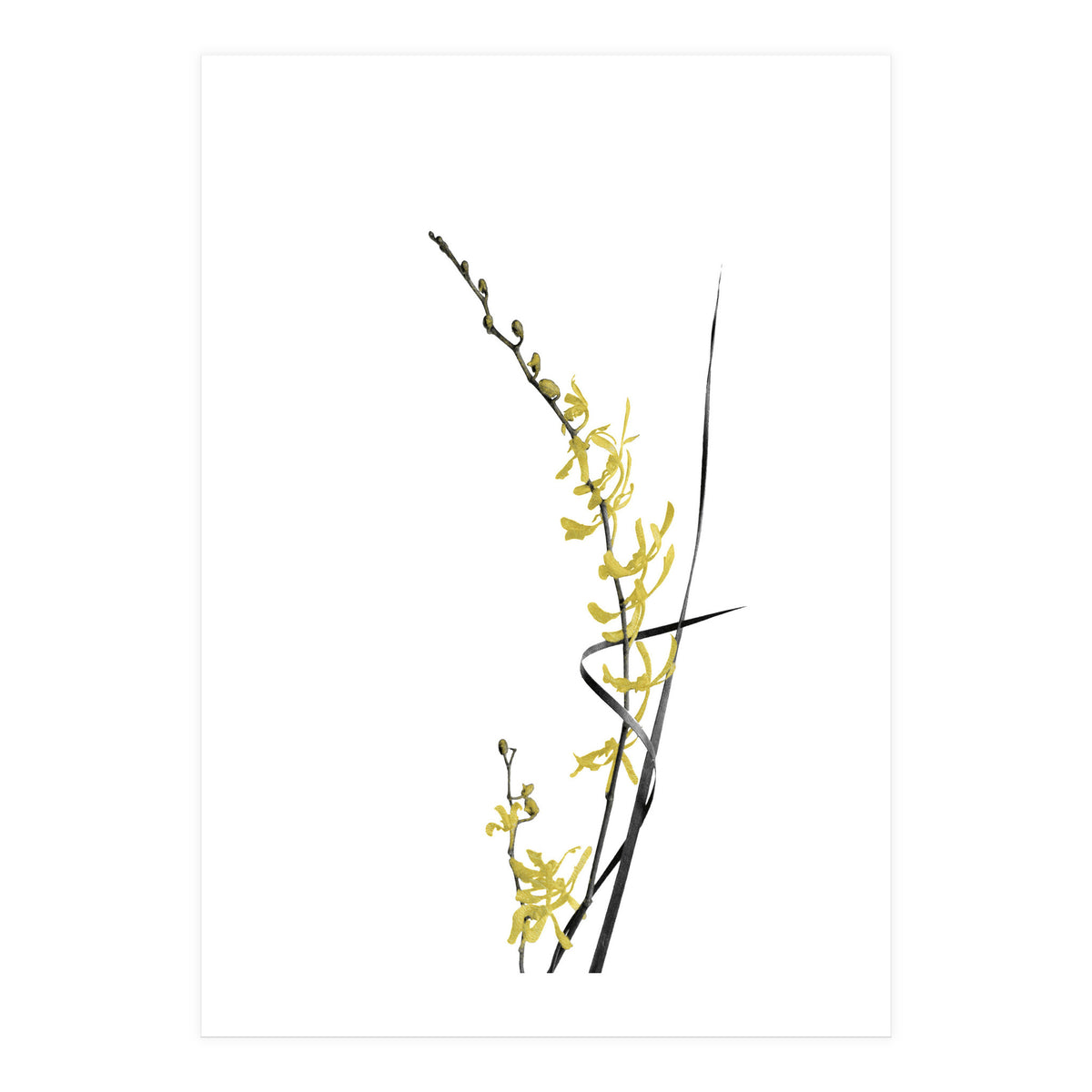 Flower Minimal Black And Gold 06 (Print Only)