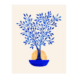 Indigo Ficus Sunrise (Print Only) thumbnail