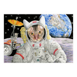 Nasacatadjustcolor (Print Only) thumbnail