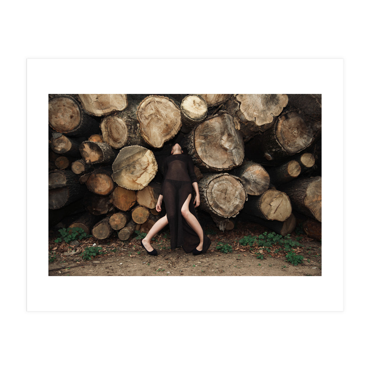 Slow Dancing Society (Print Only)