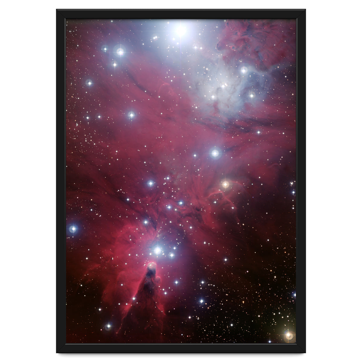 The Christmas Tree Cluster