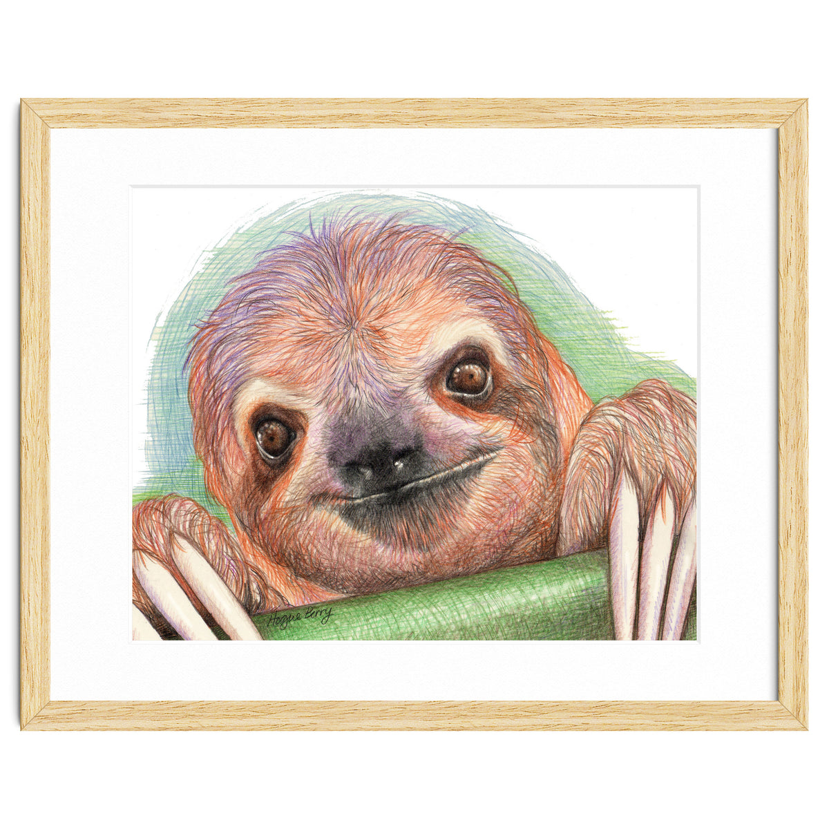 Smiling Sloth