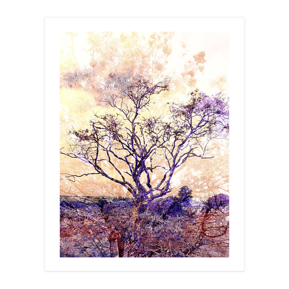 Lonely Tree II (Print Only)