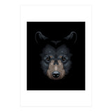 Shadows grizzly (Print Only) thumbnail