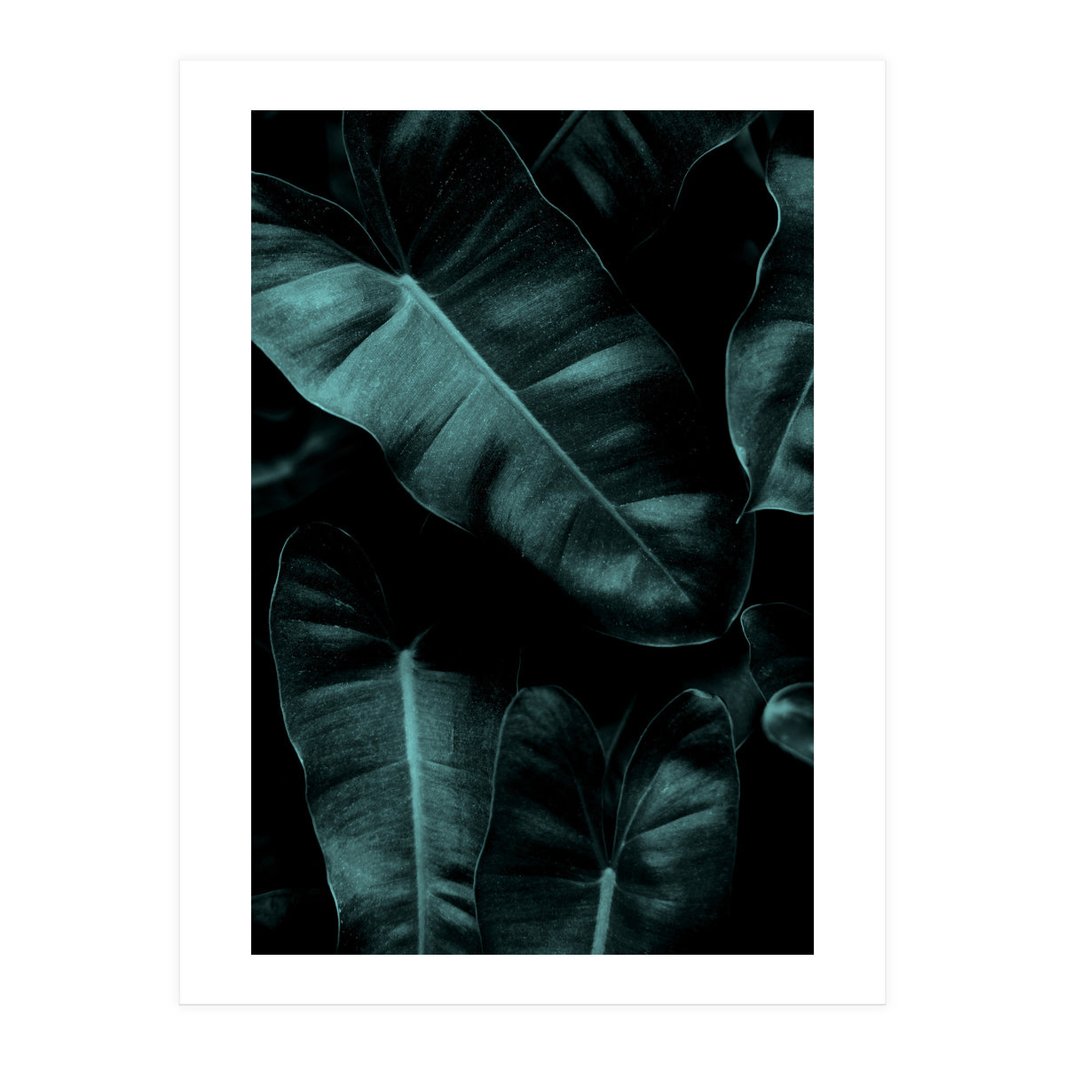 Dark Leafs (Print Only)