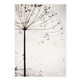 Herbstblume (Print Only) thumbnail