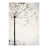 Herbstblume (Print Only)