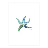 Starfish (Print Only) thumbnail
