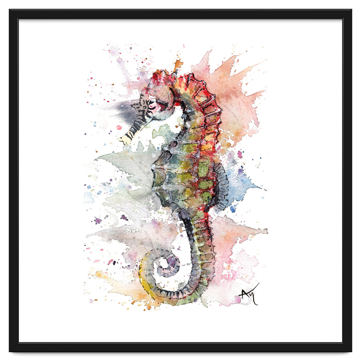 Seahorse - Wildlife Collection