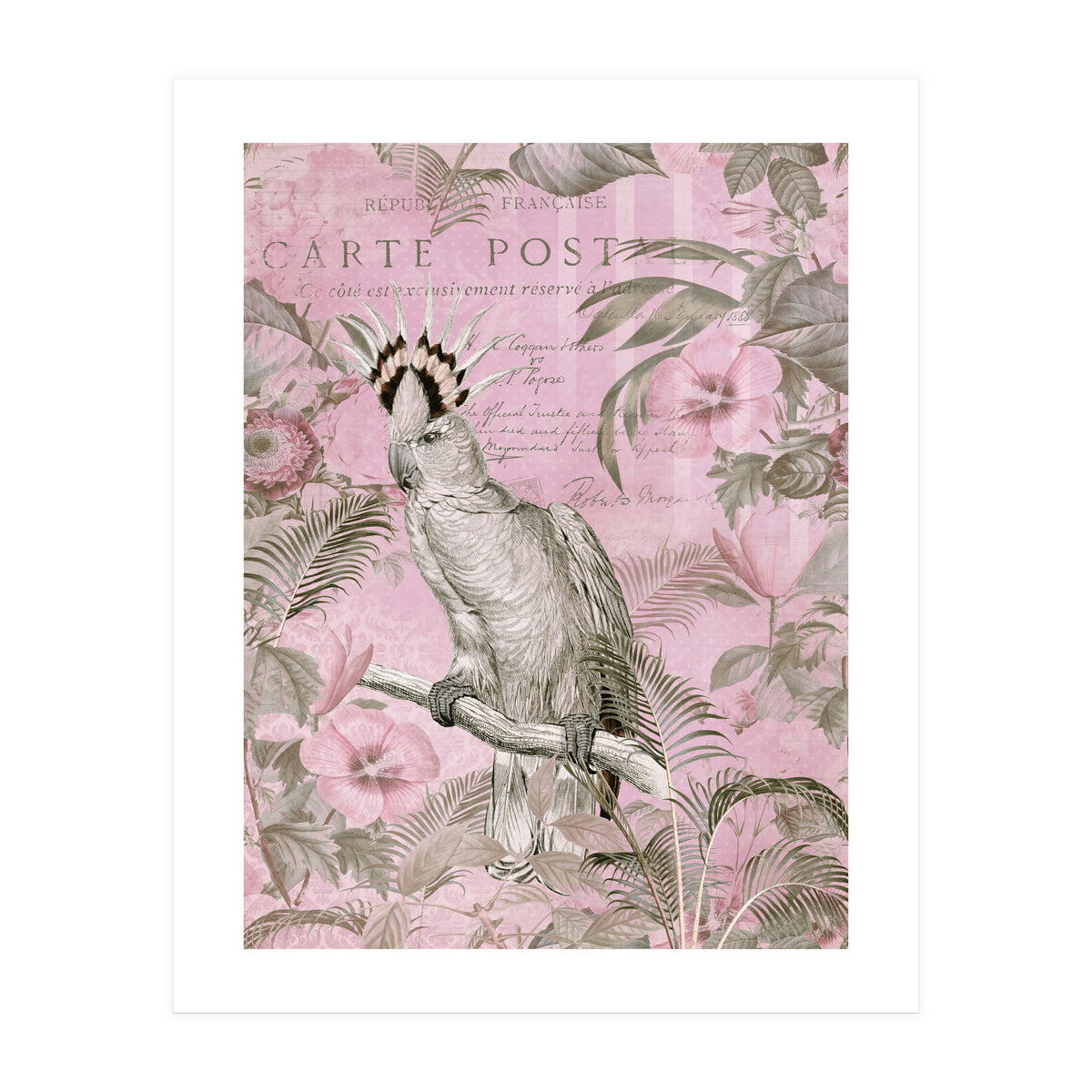 Jungle Cockatoo Pink (Print Only)