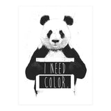 I Need Color (Print Only) thumbnail