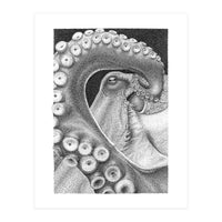Octopus no. 1 (Print Only)