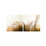 Adagio (Print Only) thumbnail