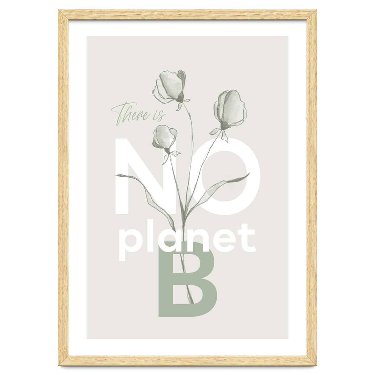 There is no planet B