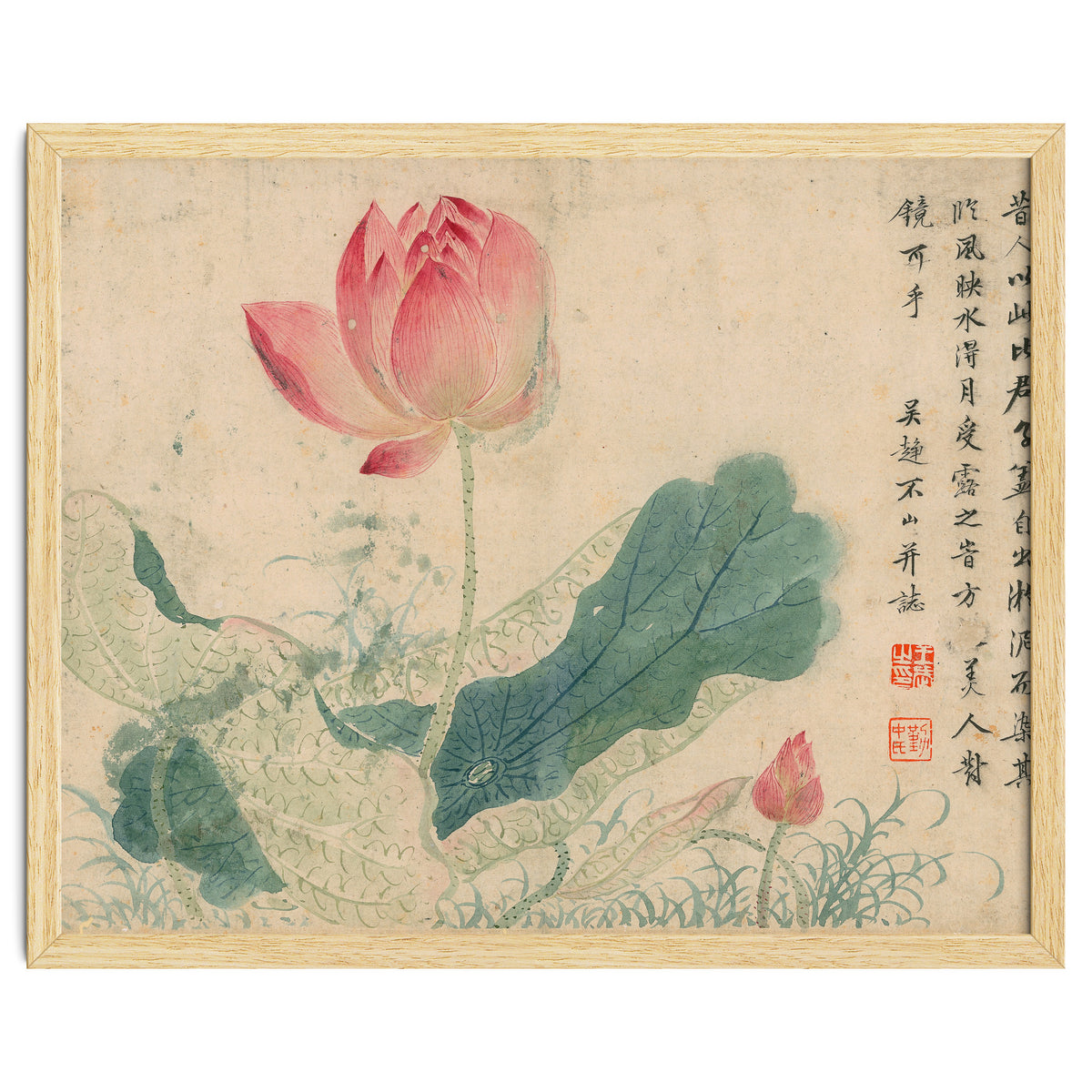 Qing Wangwu Flower album, lotus, lotus leaf, pond, copy of water grass