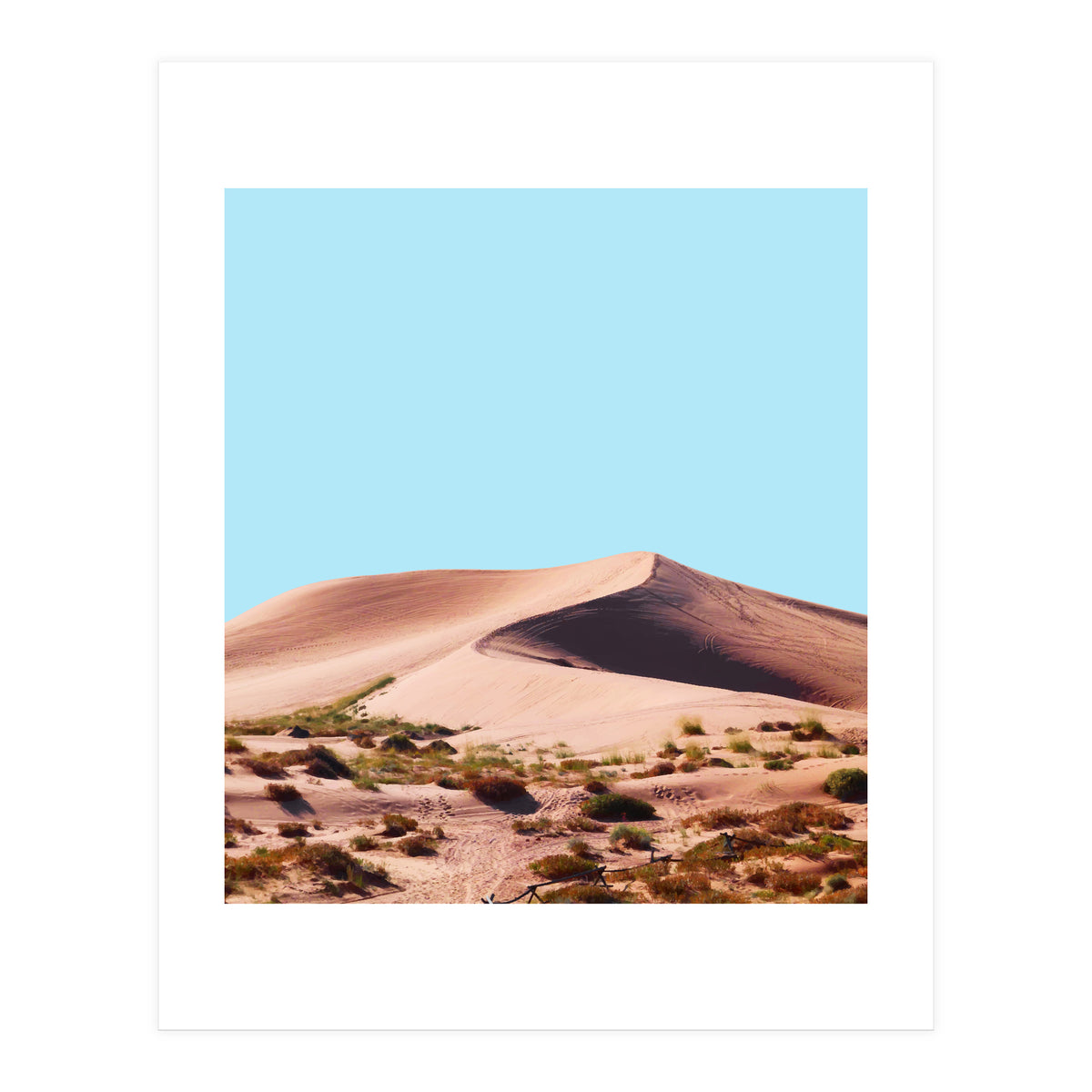 Oasis (Print Only)