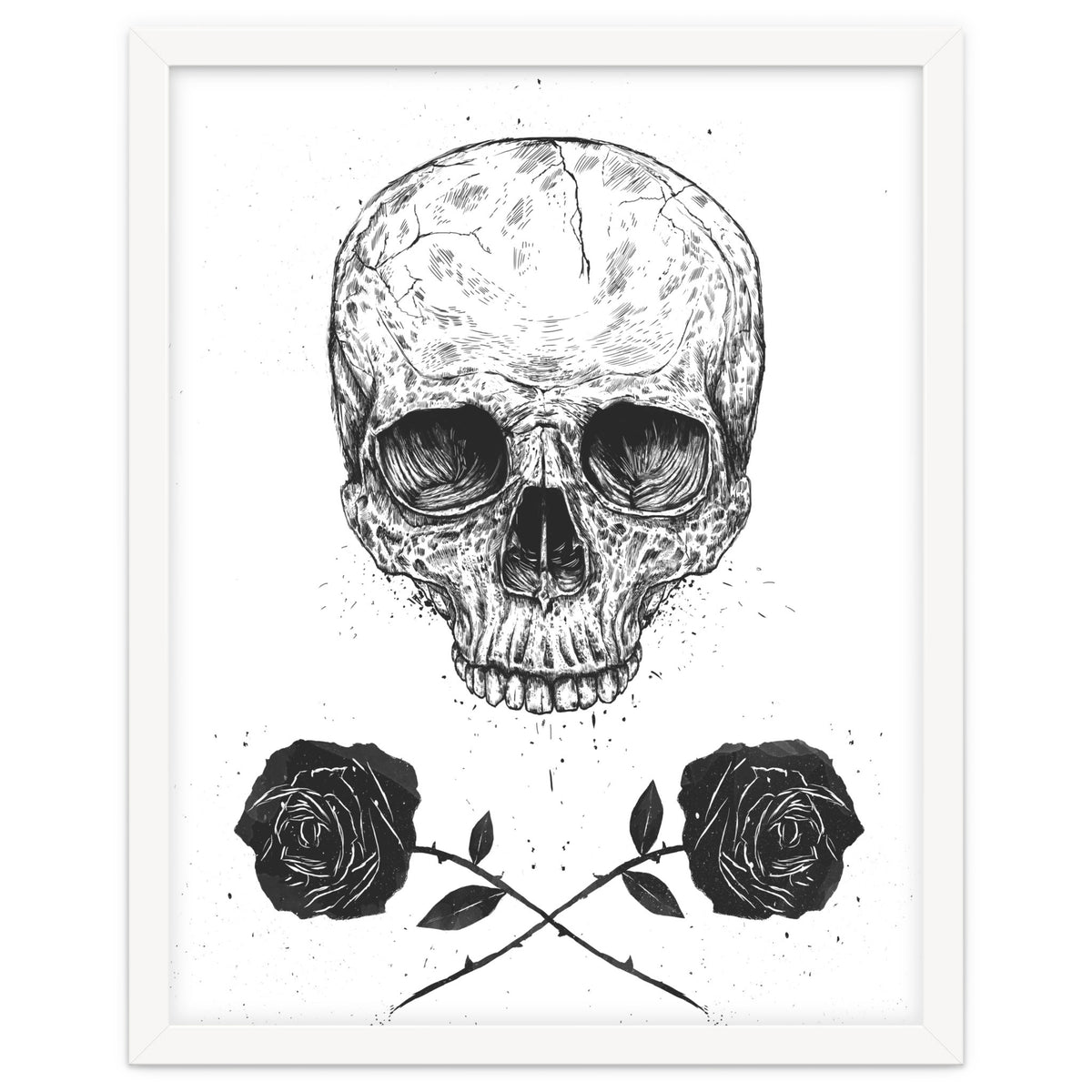 Skull N Roses