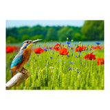 Bird and flower (Print Only) thumbnail