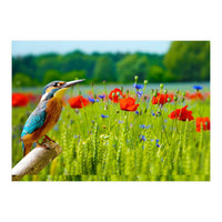 Bird and flower (Print Only)