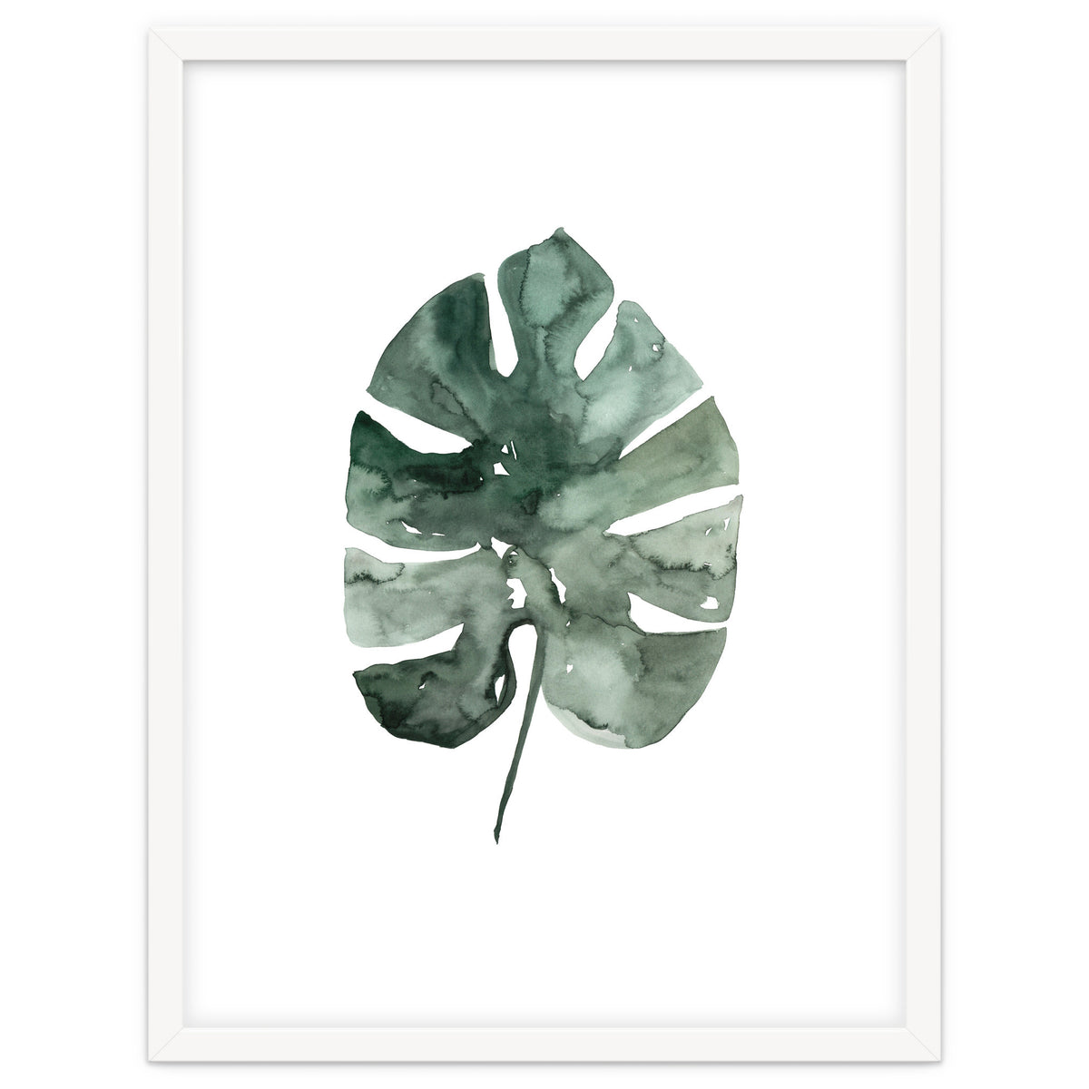 Botanical Illustration Monstera Leaf