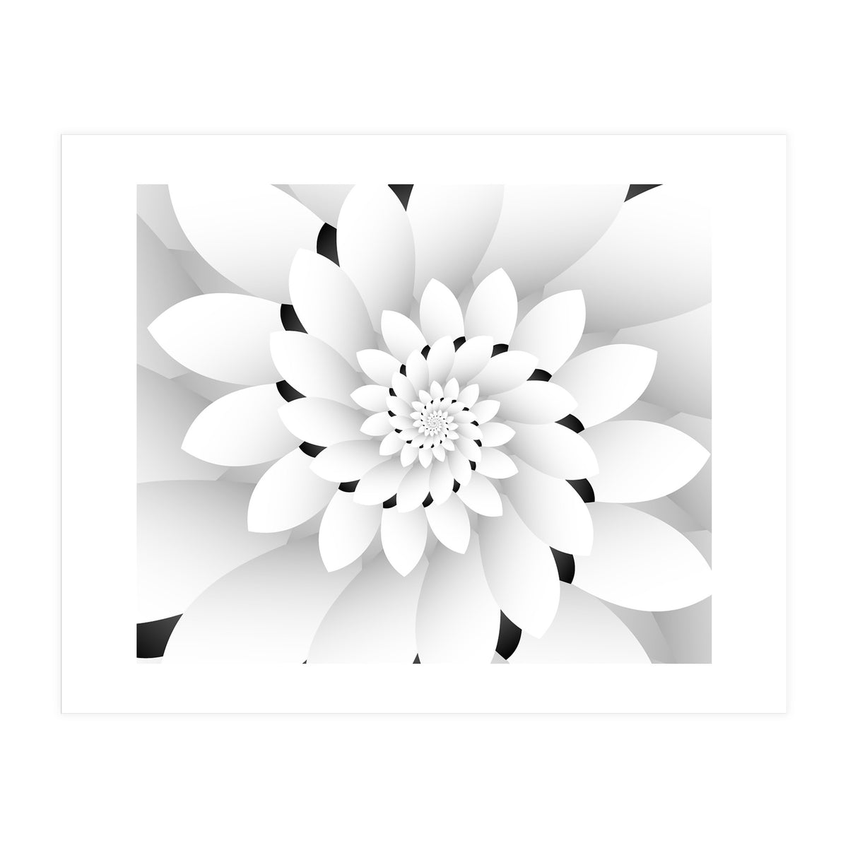 Monochrome Floral Design  (Print Only)