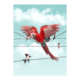 Colorful Stranger (Print Only) thumbnail