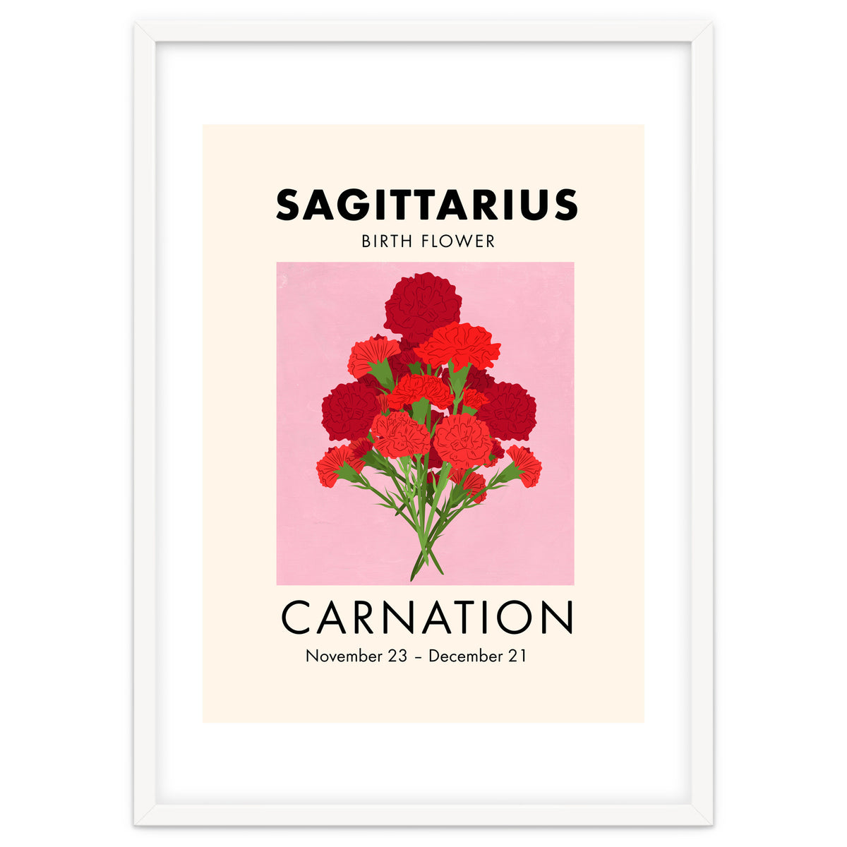 Sagittarius Birth Flower Carnation