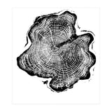 Alaskan Cypress, Tree Ring Art Print, Woodblock (Print Only) thumbnail