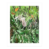 A Snail Goes (Print Only) thumbnail