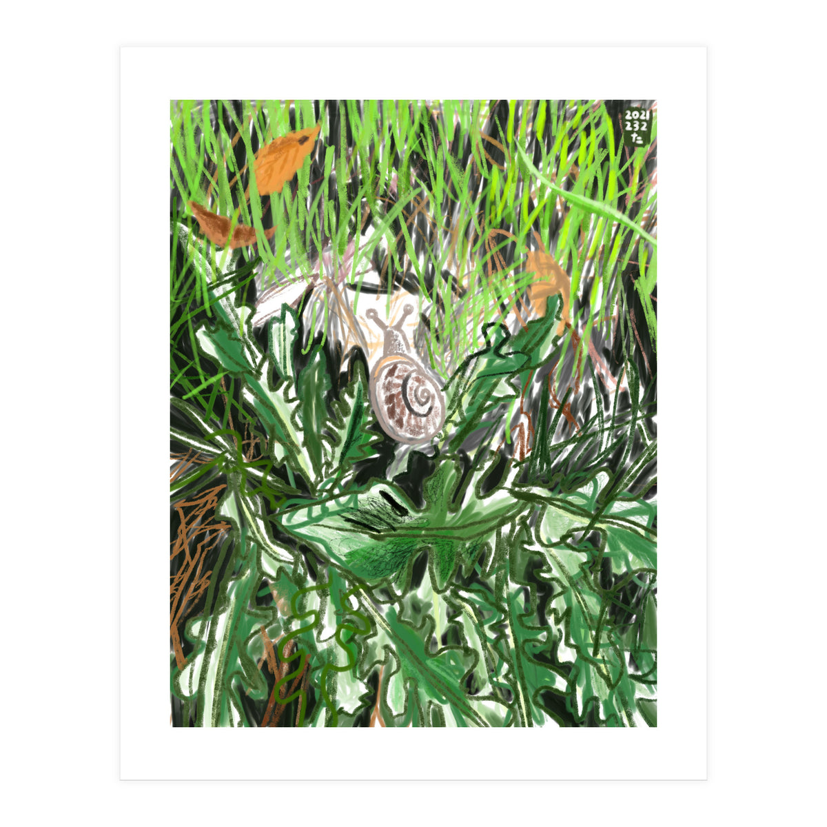 A Snail Goes (Print Only)