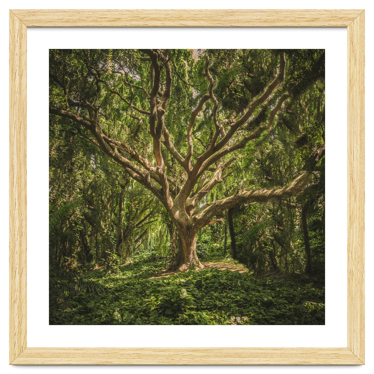 Spirits inside the wood