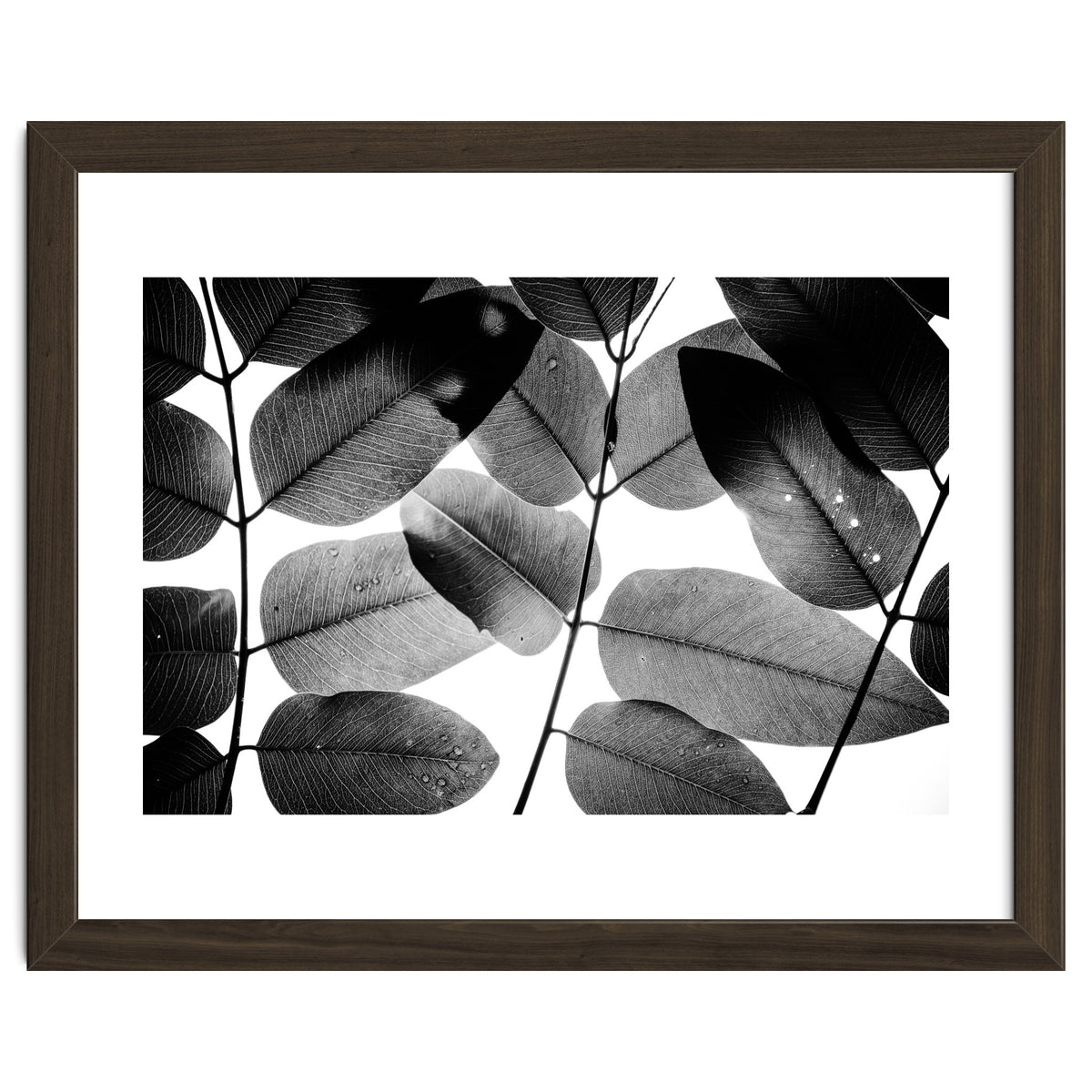 Experiments with Leaves II