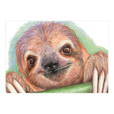 Smiling Sloth (Print Only) thumbnail