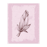 Magnolia Simple Minimal Boho - Botanical Leaves (Print Only) thumbnail
