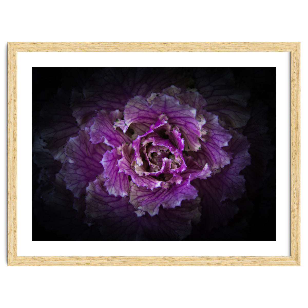 Backyard Flowers No 42 Color Version