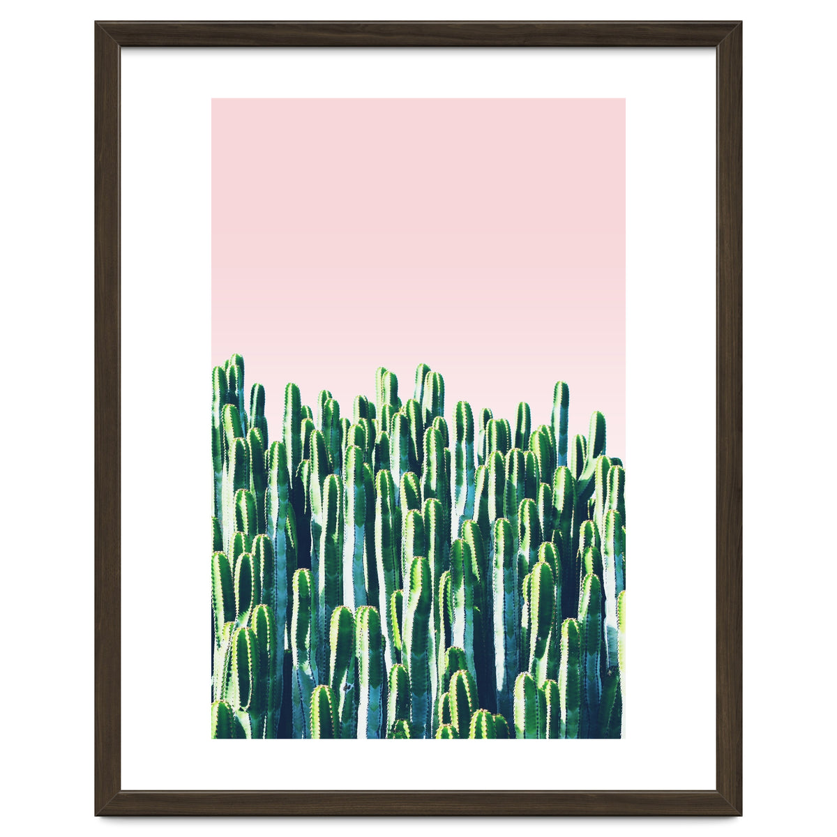 Cactus & Sunset I
