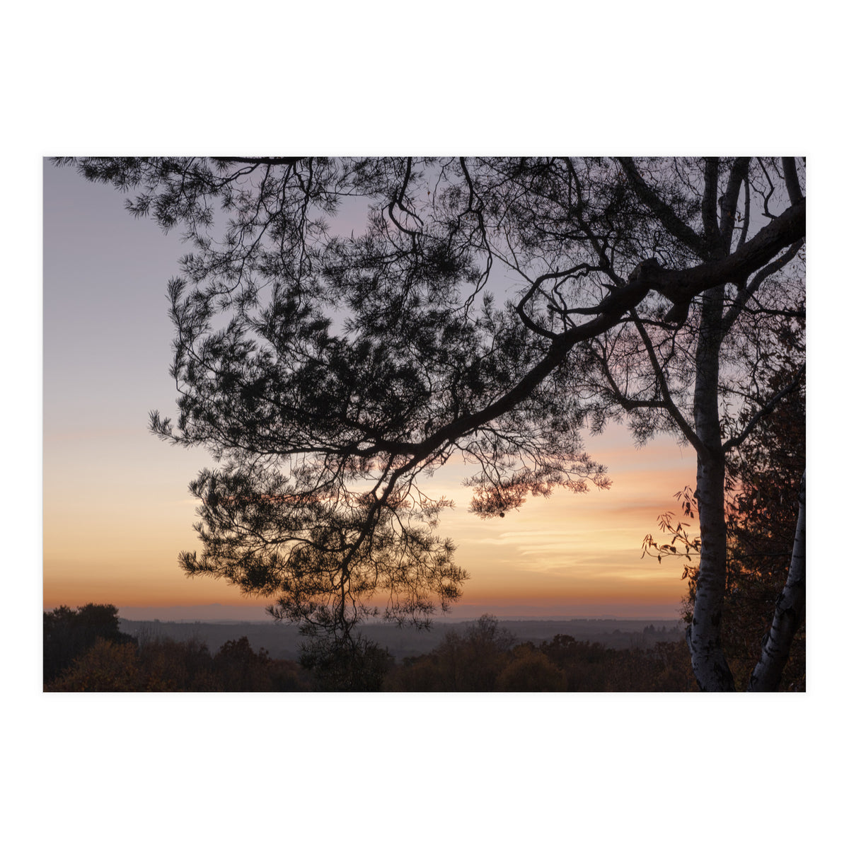 Sunset on Finchampstead Ridges - Berkshire (Print Only)