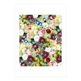 Garden Of Eden (Print Only) thumbnail